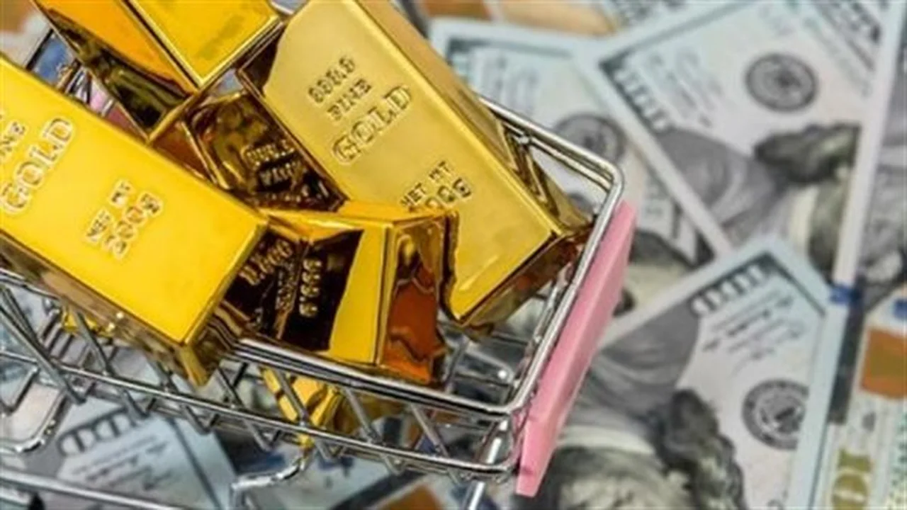 عائد مرتفع.. استثمار المدخرات الدولارية في الشهادة الذهبية بآمان تام للمودعين